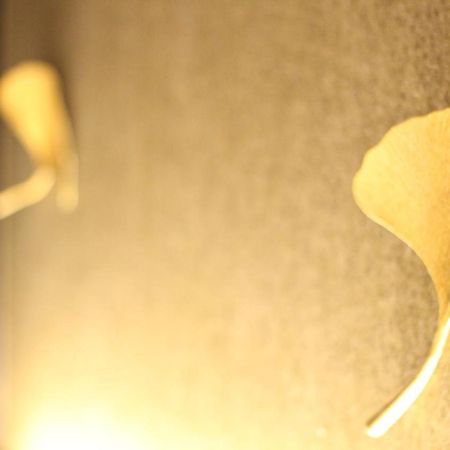 Koko Hotel Premier Kumamoto Dış mekan fotoğraf